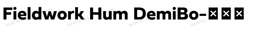 Fieldwork Hum DemiBo字体转换